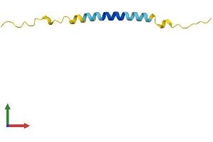 AlphaFold protein structure predicition of Human Recombinant TMA7 Protein, UniprotID Q9Y2S6