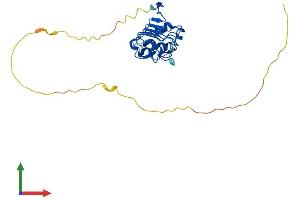 AlphaFold protein structure predicition of Mouse Recombinant Anp32e Protein, UniprotID P97822