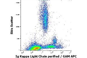 Flow cytometry surface staining pattern of human peripheral whole blood stained using anti-human Ig Kappa Light Chain (A8B5) purified antibody (concentration in sample 4 μg/mL, GAM APC). (kappa Light Chain anticorps)