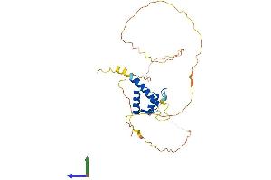 AlphaFold protein structure predicition of Human Recombinant HOXB5 Protein, UniprotID P09067