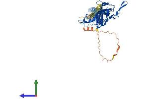 AlphaFold protein structure predicition of Human Recombinant KCNJ6 Protein, UniprotID P48051