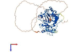 AlphaFold protein structure predicition of Mouse Recombinant St6gal2 Protein, UniprotID Q76K27