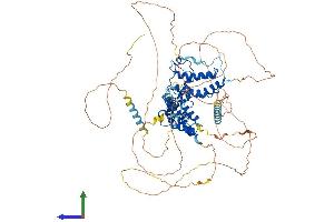 AlphaFold protein structure predicition of Mouse Recombinant Brd2 Protein, UniprotID Q7JJ13