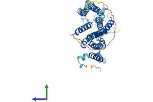 AlphaFold protein structure predicition of Human Recombinant TRAM2 Protein, UniprotID Q15035