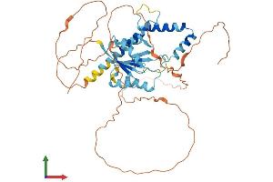 AlphaFold protein structure predicition of Human Recombinant SOHLH2 Protein, UniprotID Q9NX45