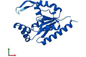 AlphaFold protein structure predicition of Mouse Recombinant Ak6 Protein, UniprotID Q8VCP8