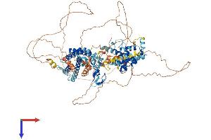 AlphaFold protein structure predicition of Mouse Recombinant Zfyve28 Protein, UniprotID Q6ZPK7
