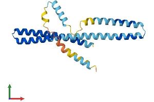 AlphaFold protein structure predicition of Human Recombinant CHMP1A Protein, UniprotID Q9HD42