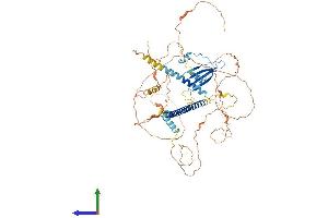 AlphaFold protein structure predicition of Mouse Recombinant Atf6 Protein, UniprotID F6VAN0