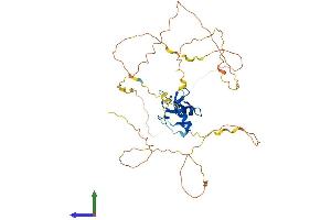 AlphaFold protein structure predicition of Human Recombinant GATA4 Protein, UniprotID P43694
