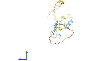 AlphaFold protein structure predicition of Human Recombinant SNRNP27 Protein, UniprotID Q8WVK2