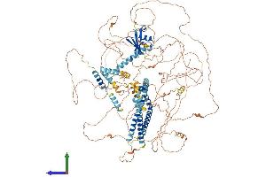 AlphaFold protein structure predicition of Mouse Recombinant Srcin1 Protein, UniprotID Q9QWI6
