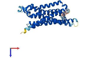 AlphaFold protein structure predicition of Human Recombinant ADORA3 Protein, UniprotID P0DMS8