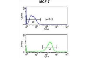 Flow Cytometry (FACS) image for anti-Nuclear Import 7 Homolog (NIP7) antibody (ABIN3003870) (NIP7 anticorps)
