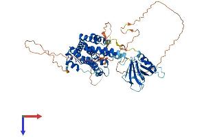 AlphaFold protein structure predicition of Human Recombinant RALGPS1 Protein, UniprotID Q5JS13