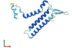 AlphaFold protein structure predicition of Mouse Recombinant Ostc Protein, UniprotID Q78XF5