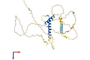 AlphaFold protein structure predicition of Human Recombinant SOHLH1 Protein, UniprotID Q5JUK2
