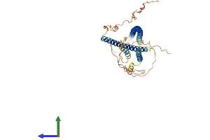 AlphaFold protein structure predicition of Human Recombinant CCDC78 Protein, UniprotID A2IDD5