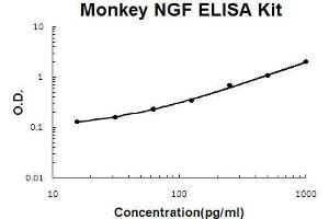 Monkey Primate NGF/NGF beta PicoKine ELISA Kit standard curve (Nerve Growth Factor Kit ELISA)