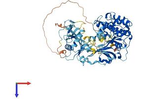 AlphaFold protein structure predicition of Human Recombinant PRKCZ Protein, UniprotID Q05513
