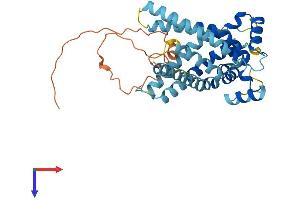 AlphaFold protein structure predicition of Human Recombinant SLC25A28 Protein, UniprotID Q96A46