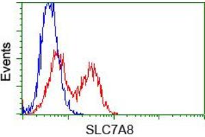HEK293T cells transfected with either pCMV6-ENTRY SLC7A8 (RC208586) (Red) or empty vector control plasmid (Blue) were immunostained with anti-SLC7A8 mouse monoclonal (ABIN2452328, Dilution 1:1,000), and then analyzed by flow cytometry. (SLC7A8 anticorps)