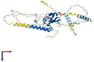 AlphaFold protein structure predicition of Human Recombinant RBM48 Protein, UniprotID Q5RL73
