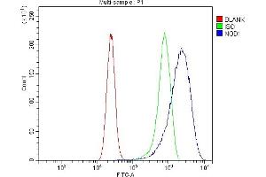 Flow Cytometry analysis of CACO-2 cells using anti-CARD4/NOD1 antibody (ABIN7600975). (NOD1 anticorps  (AA 26-953))