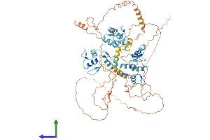 AlphaFold protein structure predicition of Human Recombinant ZNF770 Protein, UniprotID Q6IQ21