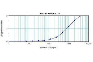 Image no. 3 for anti-Interleukin 15 (IL15) antibody (ABIN464931) (IL-15 anticorps)