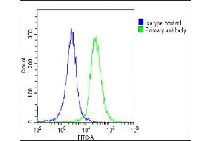 Overlay histogram showing HeLa cells stained with (ABIN6243393 and ABIN6578845)(green line).