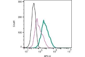 Cell surface detection of β1-Adrenergic Receptor by direct flow cytometry in live intact mouse J774 macrophage cells: + Rabbit IgG isotype control-APC (ABIN7582043).