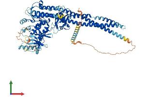 AlphaFold protein structure predicition of Human Recombinant CHUK Protein, UniprotID O15111