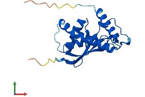 AlphaFold protein structure predicition of Human Recombinant TRAPPC3 Protein, UniprotID O43617
