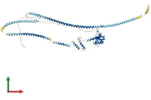 AlphaFold protein structure predicition of Human Recombinant NDC80 Protein, UniprotID O14777