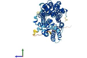 AlphaFold protein structure predicition of Human Recombinant SLC2A3 Protein, UniprotID P11169