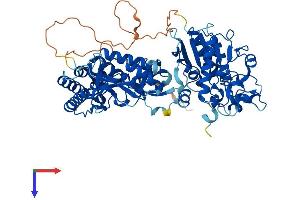 AlphaFold protein structure predicition of Human Recombinant UBASH3B Protein, UniprotID Q8TF42