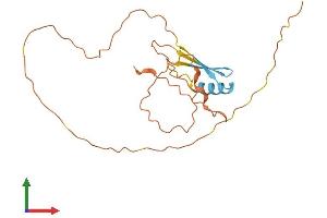 AlphaFold protein structure predicition of Human Recombinant CTAG2 Protein, UniprotID O75638