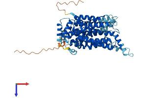 AlphaFold protein structure predicition of Mouse Recombinant Slc2a4 Protein, UniprotID P14142