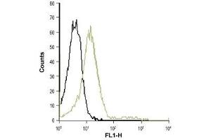 Cell surface detection of CXCR2 in live intact Jurkat cells: (black line) Unstained cells.