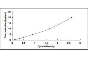 Typical standard curve (PTH1R Kit ELISA)