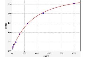 Folate Receptor 1 (Adult) (FOLR1) ELISA Kit