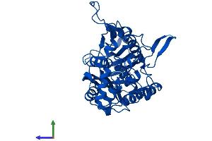 AlphaFold protein structure predicition of Human Recombinant ACAA2 Protein, UniprotID P42765