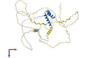 AlphaFold protein structure predicition of Human Recombinant ALX4 Protein, UniprotID Q9H161