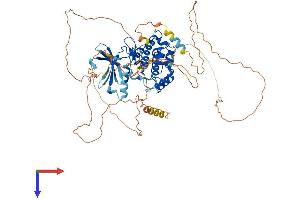 AlphaFold protein structure predicition of Mouse Recombinant Nuak2 Protein, UniprotID Q8BZN4