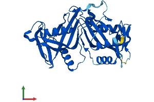 AlphaFold protein structure predicition of Human Recombinant NUDT18 Protein, UniprotID Q6ZVK8