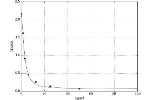Nociceptin (PNOC) ELISA Kit
