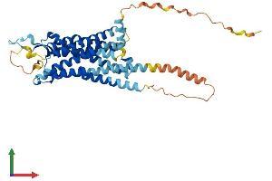 AlphaFold protein structure predicition of Human Recombinant NTSR2 Protein, UniprotID O95665
