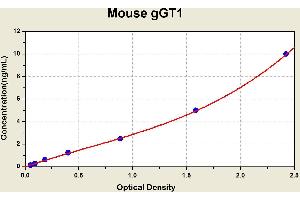 Diagramm of the ELISA kit to detect Mouse gGT1with the optical density on the x-axis and the concentration on the y-axis. (GGT1 Kit ELISA)