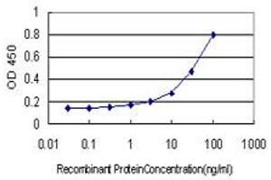 Detection limit for recombinant GST tagged RASA3 is approximately 0. (RASA3 anticorps  (AA 725-834))